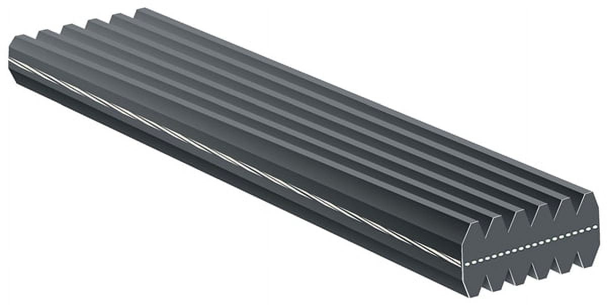Serpentine Belt