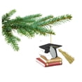 thumbnail image 2 of 2026 Graduation Christmas Ornament,  Gift For Law School, Medical School, College or Graduate School - Easy to Personalize - Comes in Gift Box, 2 of 6
