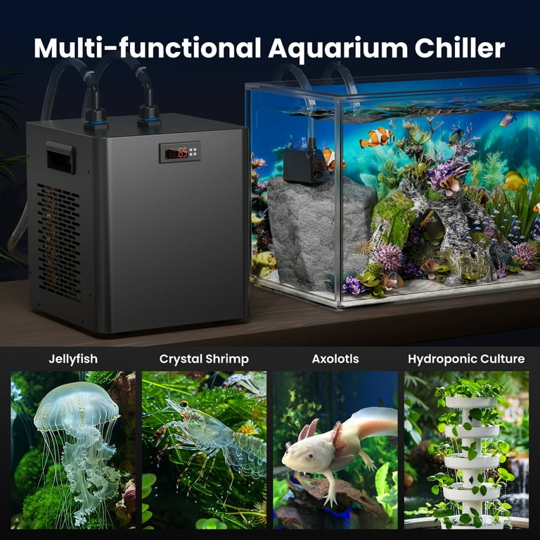 Rocita Aquarium Water Chiller 75 Gallon 1 3HP Fish Tank Chiller 300L with Quiet Compressor Refrigeration for Hydroponic System Axolotl Jellyfish