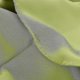 thumbnail image 4 of 2026 Best Seller Replacement Fabric Garden Parasol Canopy Cover For 3m 6/8 Arm Patio Sun Umbrella 50% Offer-yzy, 4 of 5