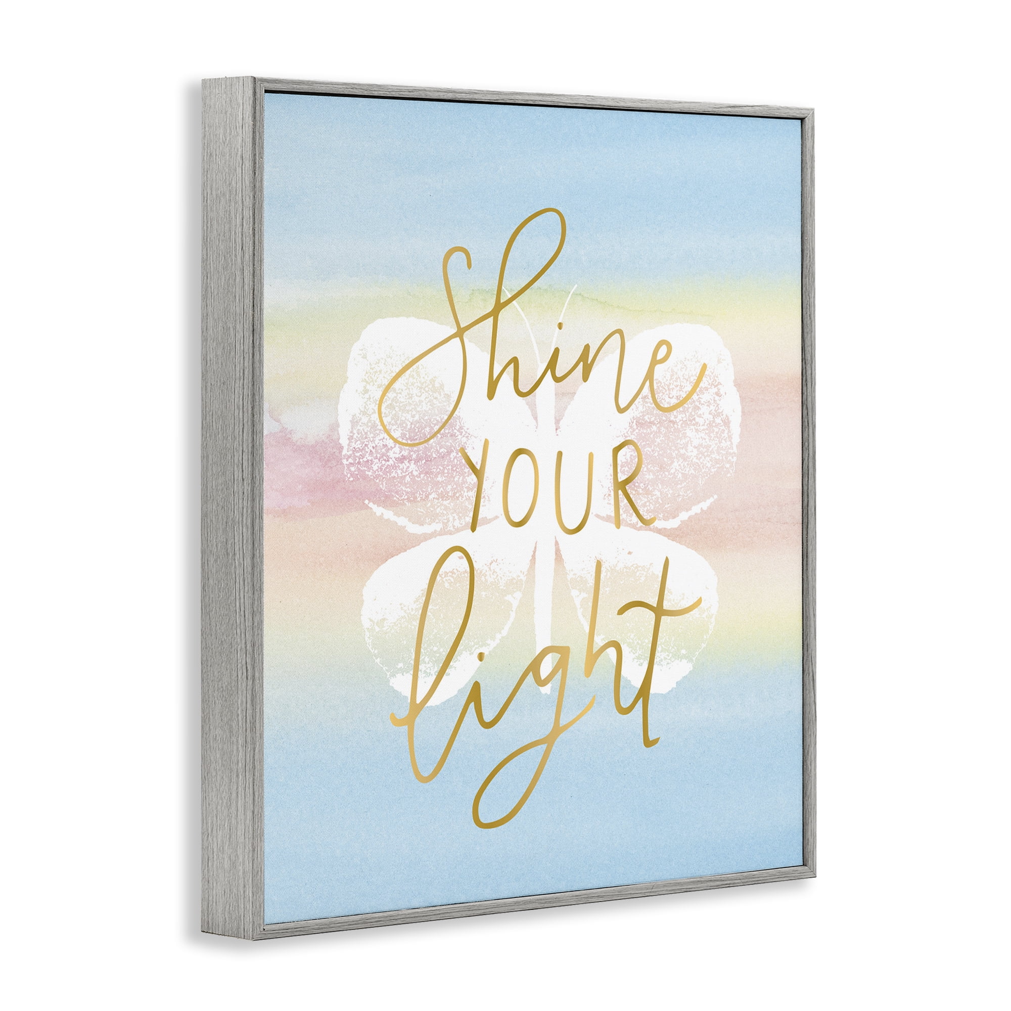 Stupell Industries Shine Your Light Animals & Insects Painting Gray Framed Art Print Wall Art, 16 x 20