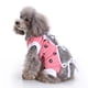 thumbnail image 2 of 2 Piezas and dog Wound Dressing Body Suit Rosa / Azul S, 2 of 9