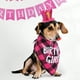 thumbnail image 2 of KAKOWELY juego de pañuelos de cumpleaños para perros, gorro de cumpleaños para cachorros, decoración para fiestas de cumpleaños de perros, sombreros de fiesta para perros pequeños y gatos., 2 of 5