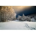 thumbnail image 2 of Baudot, Christophe 18x13 White Modern Wood Framed Museum Art Print Titled - Path, 2 of 4