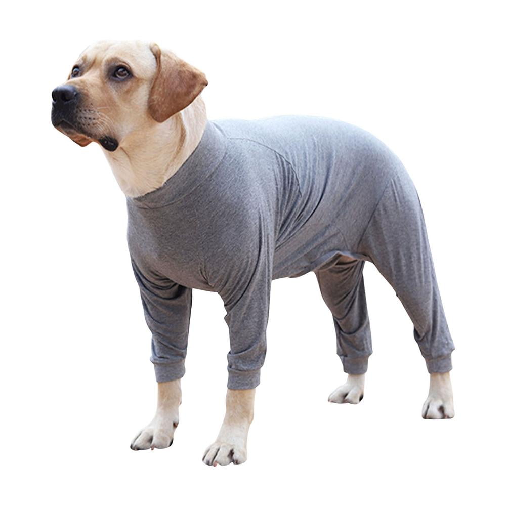 Can Dogs Sleep In E Collars