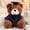 Dark brown and blue, variant on LEJHVAQK Graduation Teddy Bear: Stuffed Toys with Doctoral Cap & Gown for Class of 2026, Cute Plushie Doll Keepsake Gift for Graduates, Multiple Styles, 1 Pack