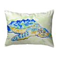 thumbnail image 1 of Betsy Drake KS661 11 x 14 in. Loggerhead Turtle Small No-Cord Pillow, 1 of 1