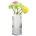 thumbnail image 5 of Glass Vase Display Table Decoration Vases , Clear 25cm, 5 of 8