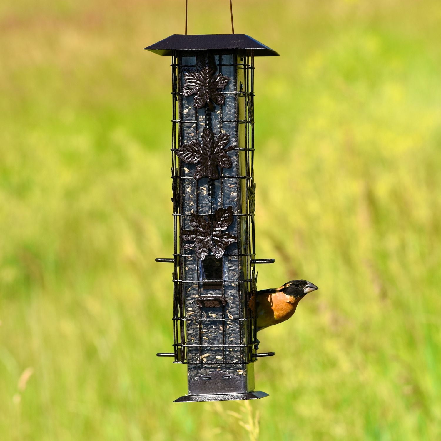Mangeoire d'oiseaux Squirrel-Be-Gone de Perky-Pet
