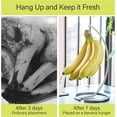 thumbnail image 5 of Support pour Banane, Support en Acier Inoxydable pour Banane, 5 of 5