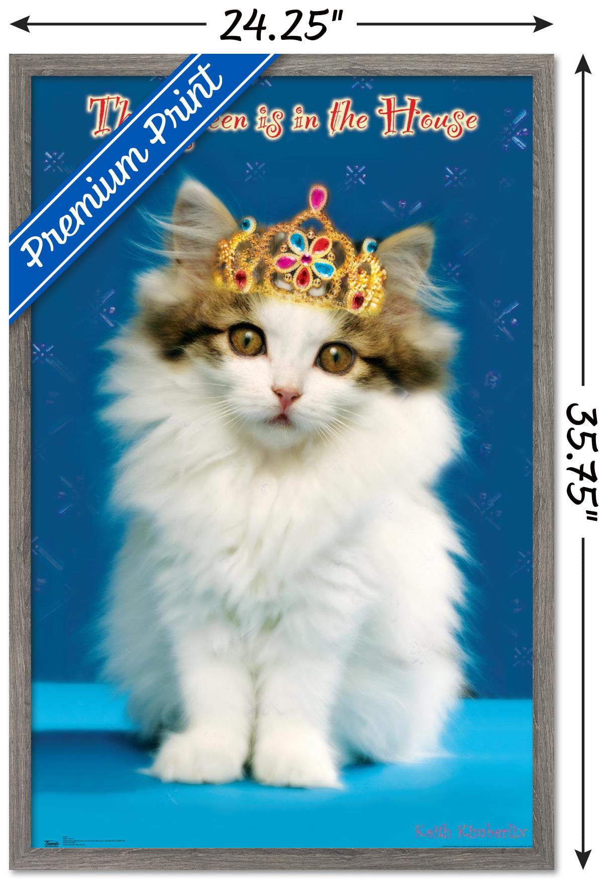Keith Kimberlin - Kitten - Queen Wall Poster, 22.375" x 34", Framed