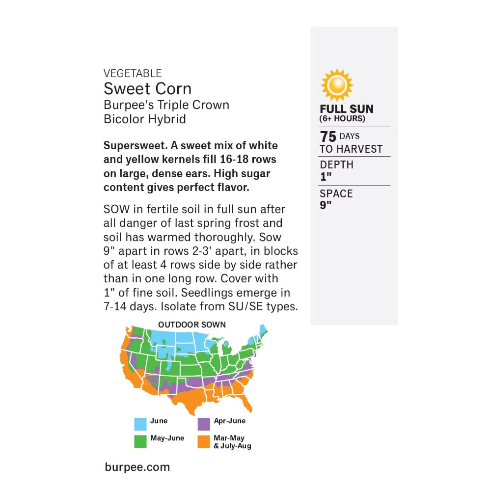 Burpee Burpee's Triple Crown Bicolor Hybrid Sweet Corn Vegetable Seed, 1-Pack