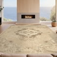 thumbnail image 2 of Design&I 9'x12' Washable Area Rug Sleek Flatweave Pet Friendly Farmhouse Ornamental Flourish Antique Inspired Symmetrical Design for Master Suite, Under Bed, 2 of 7