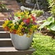 thumbnail image 5 of Flores artificiales Grunyia Daisy, 16 paquetes, resistentes a los rayos UV, 5 of 7