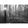 thumbnail image 2 of Deiter, Lori 24x18 White Modern Wood Framed Museum Art Print Titled - Calm Yourself, 2 of 4