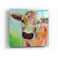 thumbnail image 1 of Epic Art 'Brody' by Jeanette Vertentes, Acrylic Glass Wall Art, 12"x12", 1 of 1