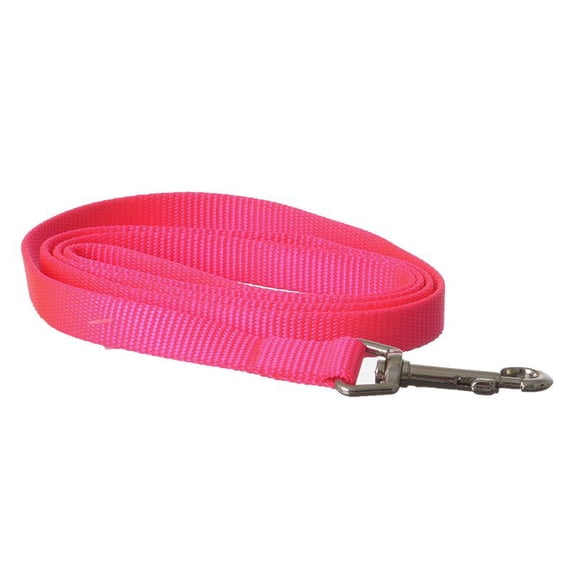 Coastal Pet Nylon Lead - Neon Pink - 4' Long X 5/8" Wide
