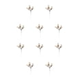 thumbnail image 2 of Matsuzay Navidad bayas artificiales pino cono flor rama salón pared ventana boda fiesta decoración adornos Color champagne 10piezas, 2 of 6