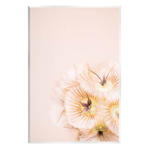 Close Up Pink Flower Anther Botanical & Floral Photograph Unframed Art Print Wall Art