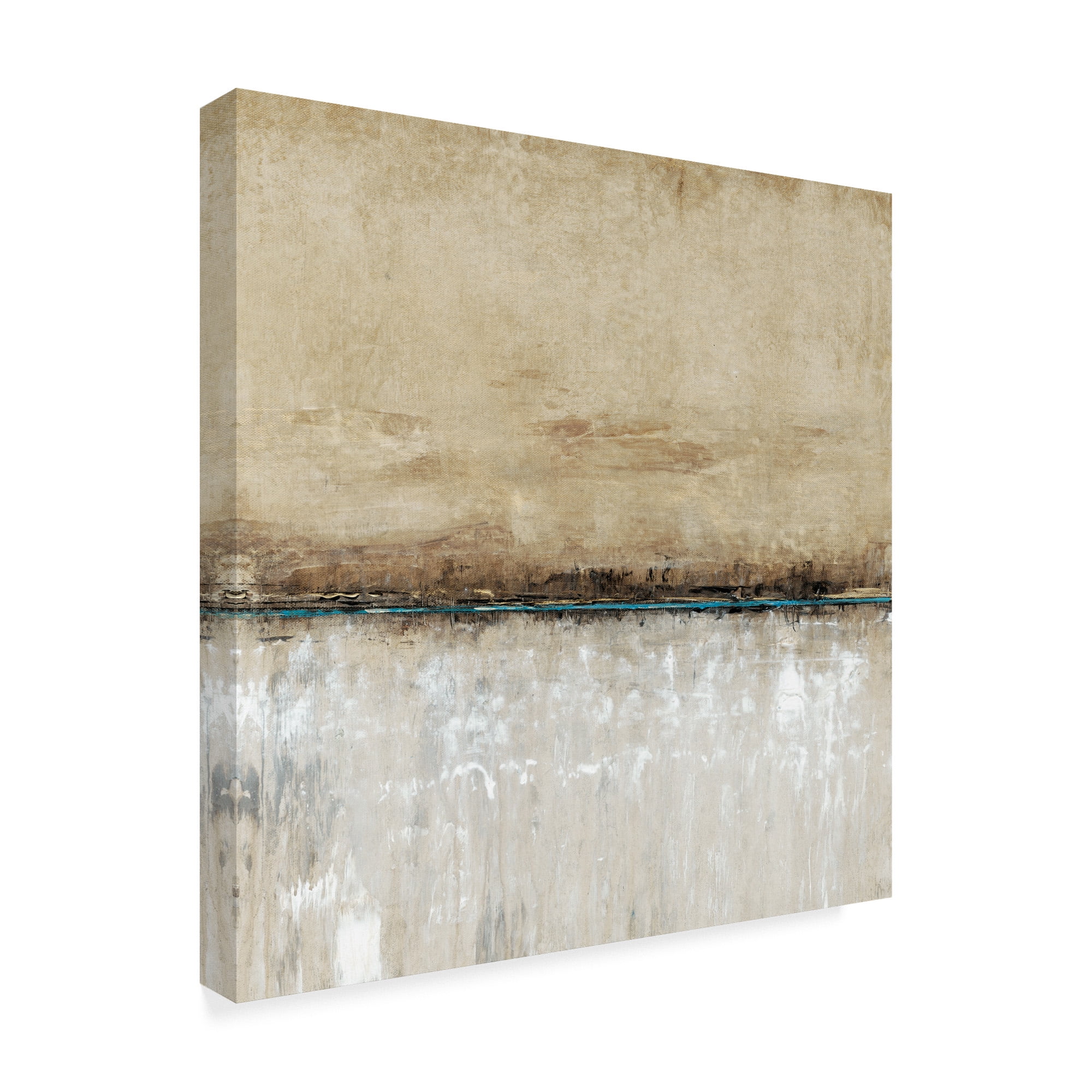 Trademark Fine Art 'Blue Line I' Canvas Art by Tim OToole