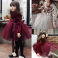 thumbnail image 2 of Robe Princesse pour Filles en Velours Polaire Robe de Fête Robe Tutu en Tulle pour 1-6 Ans, 2 of 5