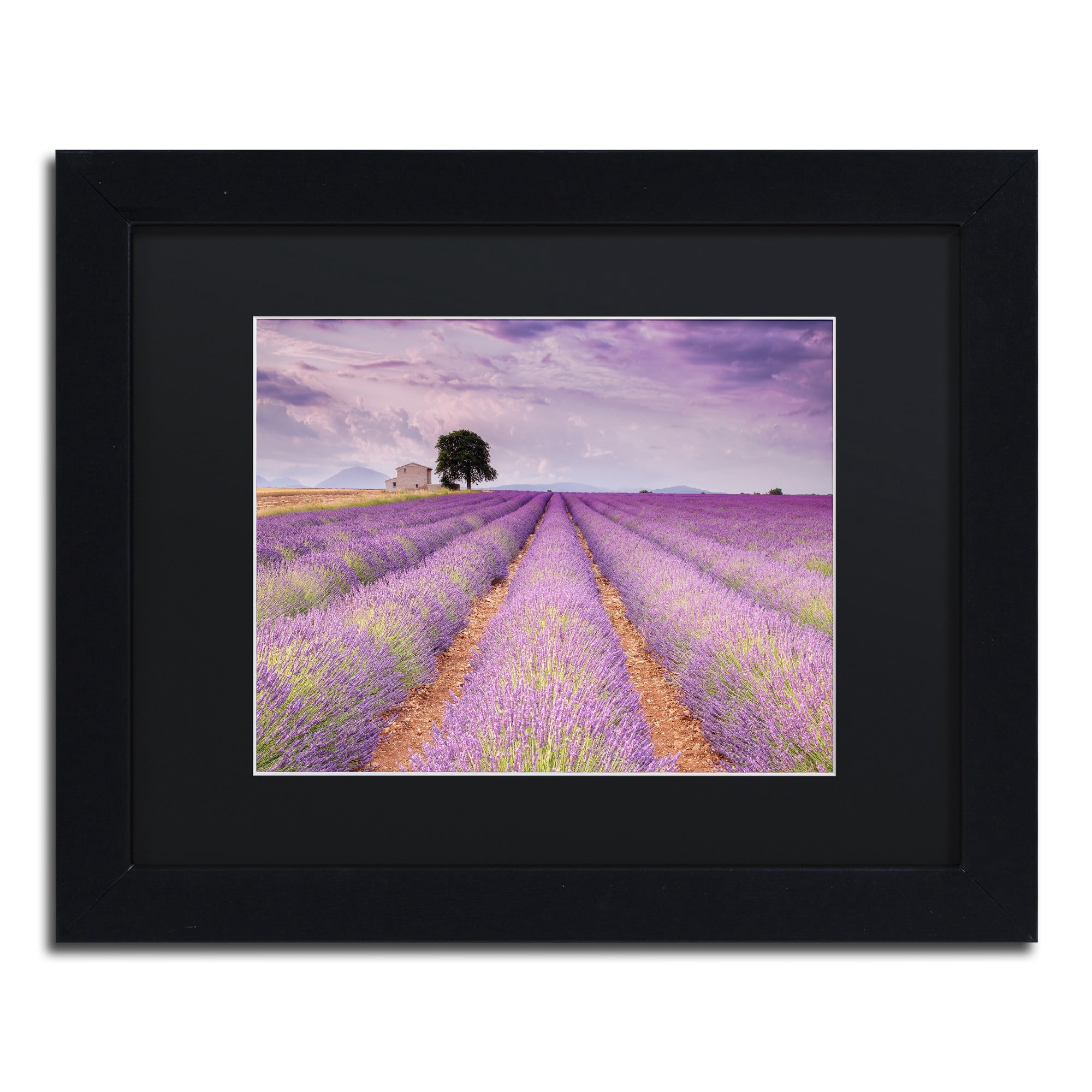 Trademark Fine Art 'Stone House' Canvas Art by Michael Blanchette Photography, Black Matte, Black Frame