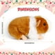 thumbnail image 2 of Juego de 2 juguetes de peluche con forma de conejillo de indias Aoriher de 20 cm, 2 of 8