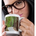 thumbnail image 2 of 3drose, Usa, California.trail in Big Basin Redwoods State Park., 15oz Mug, 2 of 6
