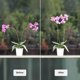 thumbnail image 4 of CHAO Tutor de 10 plantas | Soportes para Plantas y Flores Trepadoras | Tutor verde | Ayude a que sus flores crezcan | Estacas de jardín de tomate | Estacas para orquídeas, amarilis, peonías, pimientos, 4 of 5