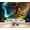 Color 2, variant on Wallpaper Magical Mystical Forest Fairy Tale Fantasy Psychedelic Mystical Peel and Stick Wall Murals 100"H x 144"W Removable PVC Wall Paper Self-Adhesive Wall Paintings Art for Bedroom Living Room