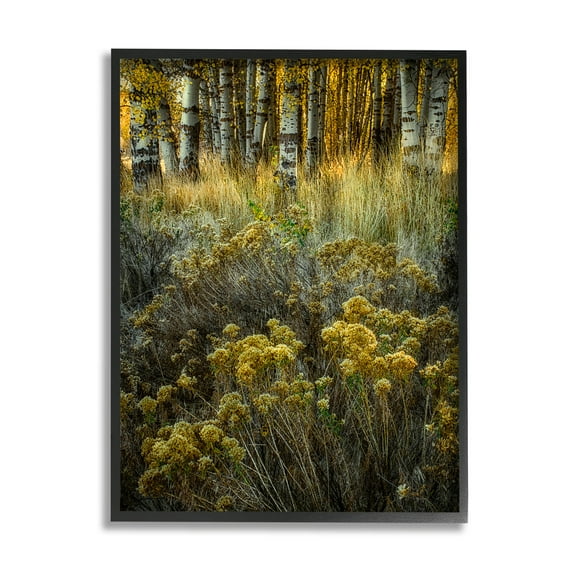 Stupell Industries Woodland Wildlife Plants Yellow Blossoms Photograph Black Framed Art Print Wall Art, Design by David Lorenz