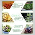 thumbnail image 5 of Luz de Cultivo de Plantas de Espectro Completo de 160 mm, Regulable, 72 LED, Luz de Relleno para Plantas, 3 Modos Regulables, Temporizador, A, 5 of 5