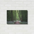 thumbnail image 3 of Luxe Metal Art 'Fragrant Road' by Martin Podt, Metal Wall Art, 24"x16", 3 of 8