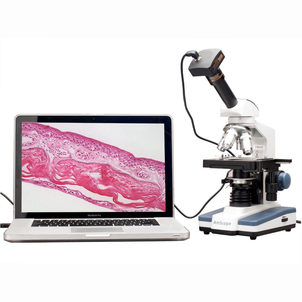 AmScope 40X2000X LED Monocular Digital Compound Microscope w 3D Stage