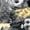 Color 4, variant on Modern Peel and Stick WallpaperBlack White Floral Watercolor Matte Golden Grey 17.7in x 9.8ft Self Adhesive Contact Paper Removable