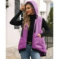 thumbnail image 4 of Fleece Gilet for Women Body Warmers Vest Tops Solid Color Lightweight Cozy Gilets Stand Collar Sleeveless Zip Waistcoat with Pockets Purple L, 4 of 7