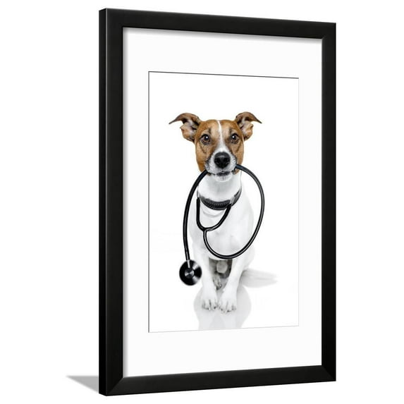 Medical Doctor Dog Framed Print Wall Art By Javier Brosch