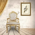 thumbnail image 3 of Audubon, John James 11x14 Gold Ornate Wood Framed with Double Matting Museum Art Print Titled - Downy Woodpecker, 3 of 4
