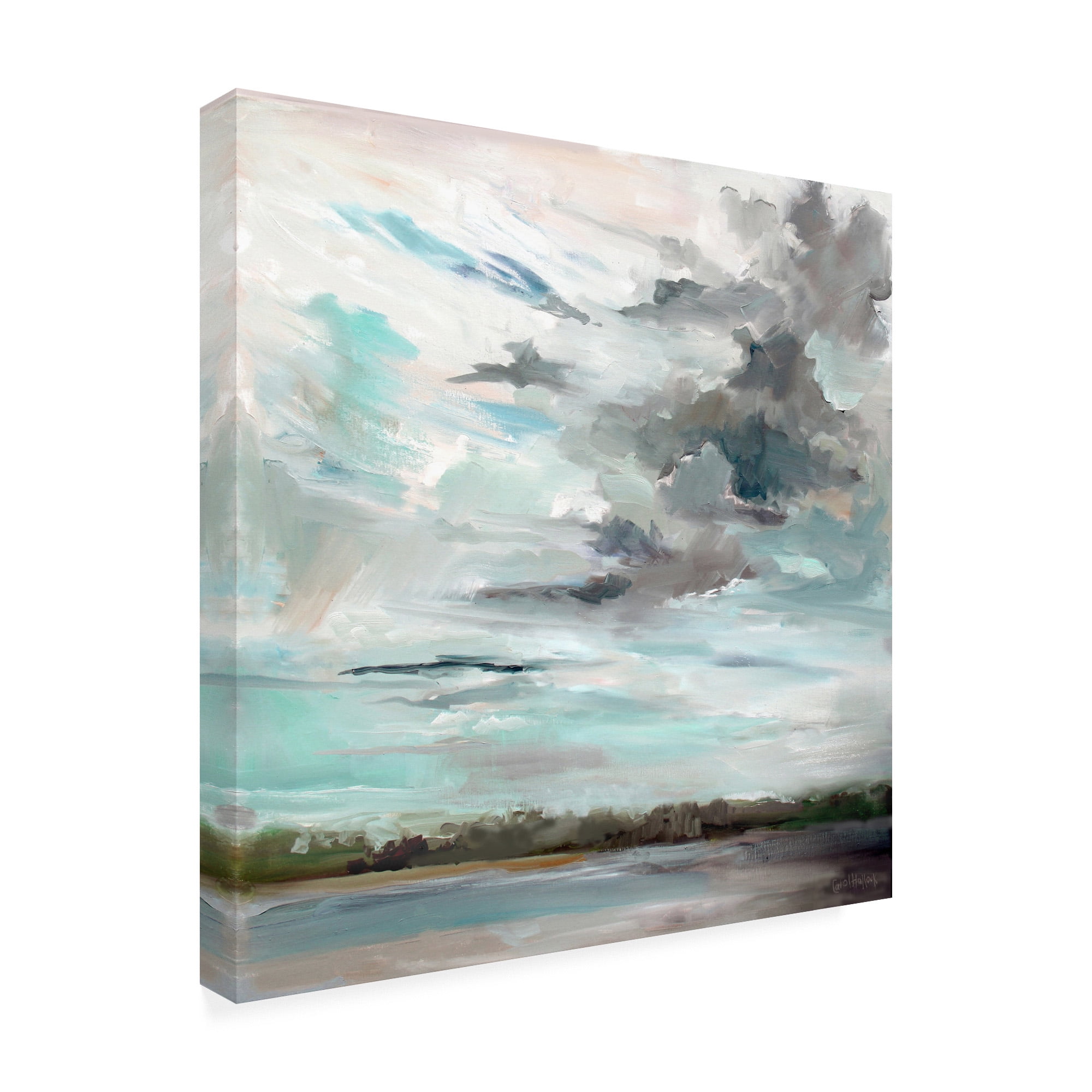 Trademark Fine Art 'Cloudy Days Don't Get Me Down' Canvas Art by Carol Halloc