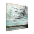 thumbnail image 2 of Trademark Fine Art 'Cloudy Days Don't Get Me Down' Canvas Art by Carol Halloc, 2 of 3