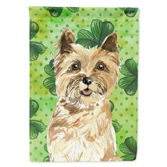 Carolines Treasures CK1809GF Shamrocks Cairn Terrier Flag Garden Size  Small multicolor