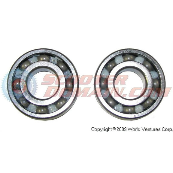 Crankshaft Bearing Set  - 2-Stroke 50cc 1PE40QMB - 6204 C4, (NTN Brand)