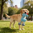 thumbnail image 5 of Squeaker Dog Toys for Aggressive Chewers Indestructible Dog Chew Toys for Dogs Dogs Squeaky Toys Chew Toys for Teething Stuffed Animal Toy for Small Medium Dogs, 5 of 7