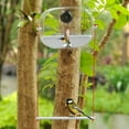 thumbnail image 3 of Smart Bird Feeder Camera, 6.3in Window Mount 1080P AI Identify Bird Watching Camera, Weatherproof Feeder with Instant Notifications for Backyard Birds, 3 of 4