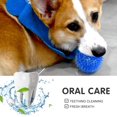 thumbnail image 5 of Pelotas chirriantes para perros pequeños, pelotas de goma para buscar perros, paquete de 6 colores brillantes, juguetes para cachorros TPR, pelotas de juguete para perros, juguetes chirriantes para p, 5 of 5
