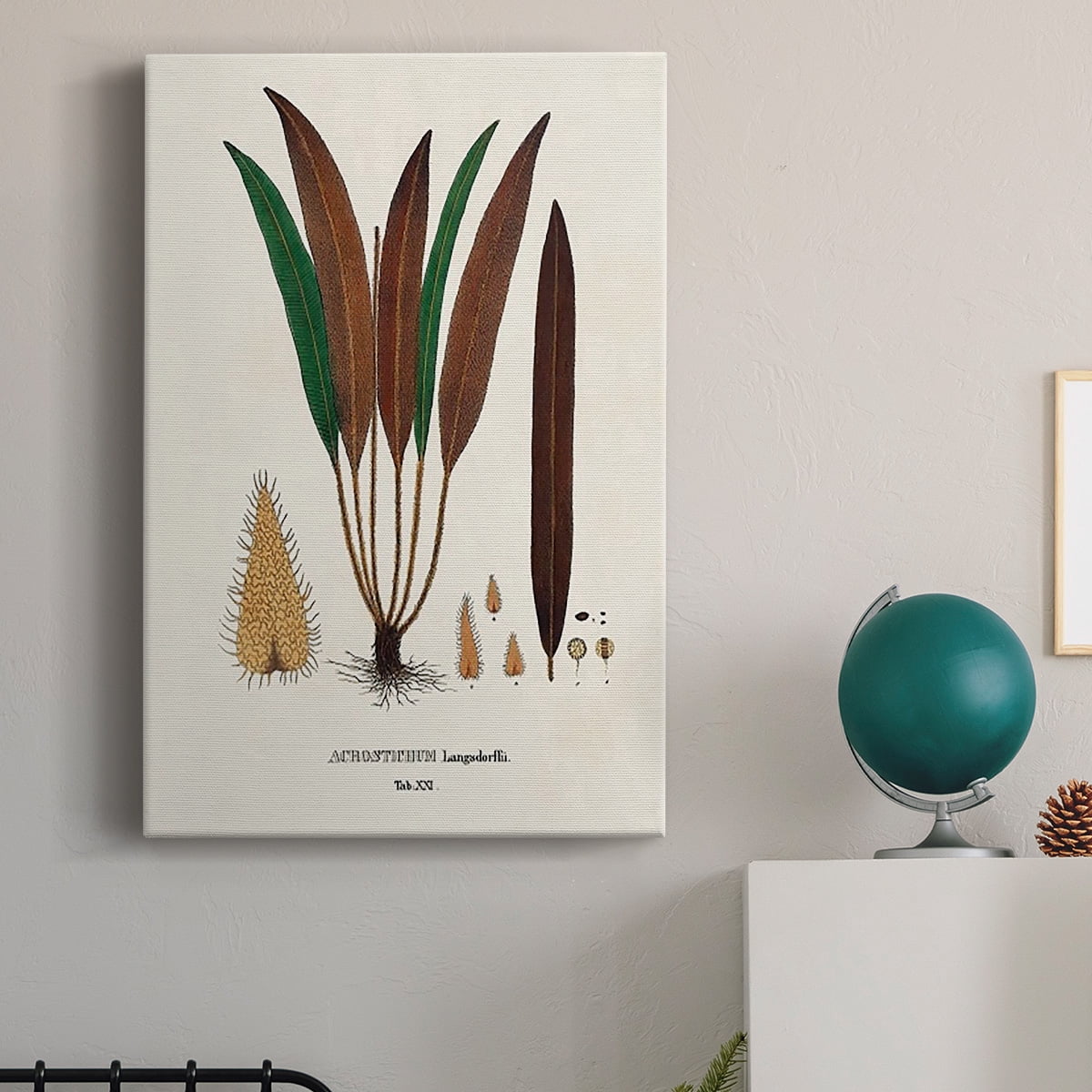 Botanical Society Ferns I Premium Gallery Wrapped Canvas - Ready to Hang