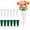 White, variant on 6 Pack Cemetery Vases with Foam Inserts, NOGIS Memorial Floral Vases with Spikes, Grave Flower Holder Cones for Outdoor Use, Lawn Headstone Graveside Decoration, Fresh or Artificial Flowers, Green