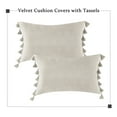 thumbnail image 2 of 2 Pcs Throw Pillow Cover with Tassel, Soft Velvet Throw Pillow Case Sofa Cushion Case, 2 of 9