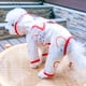 thumbnail image 2 of Chubasquero de arcoíris impermeable transparente talla M Teddy Bears impermeable para perros pequeños y medianos, 2 of 5