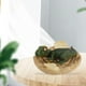 thumbnail image 1 of Figuras de dinosaurios 3.35 pulgadas Decoración Regalo educativo Colección pequeña Simulación Animal Cub Huevos Modelo para fiesta Favor Colector CUTICAT Figuras de dinosaurios, 1 of 5